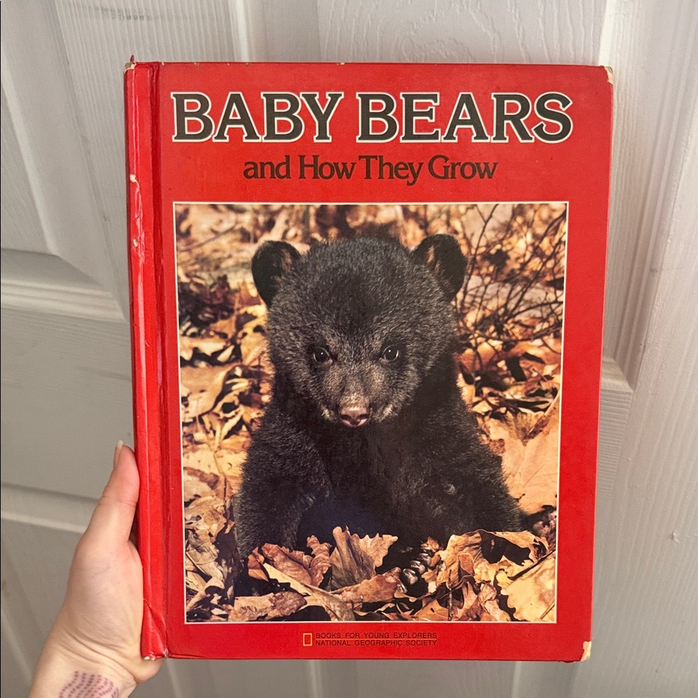Baby Bears and How They Grow vintage 1986 Nat  Geo Hardcover Picture Book